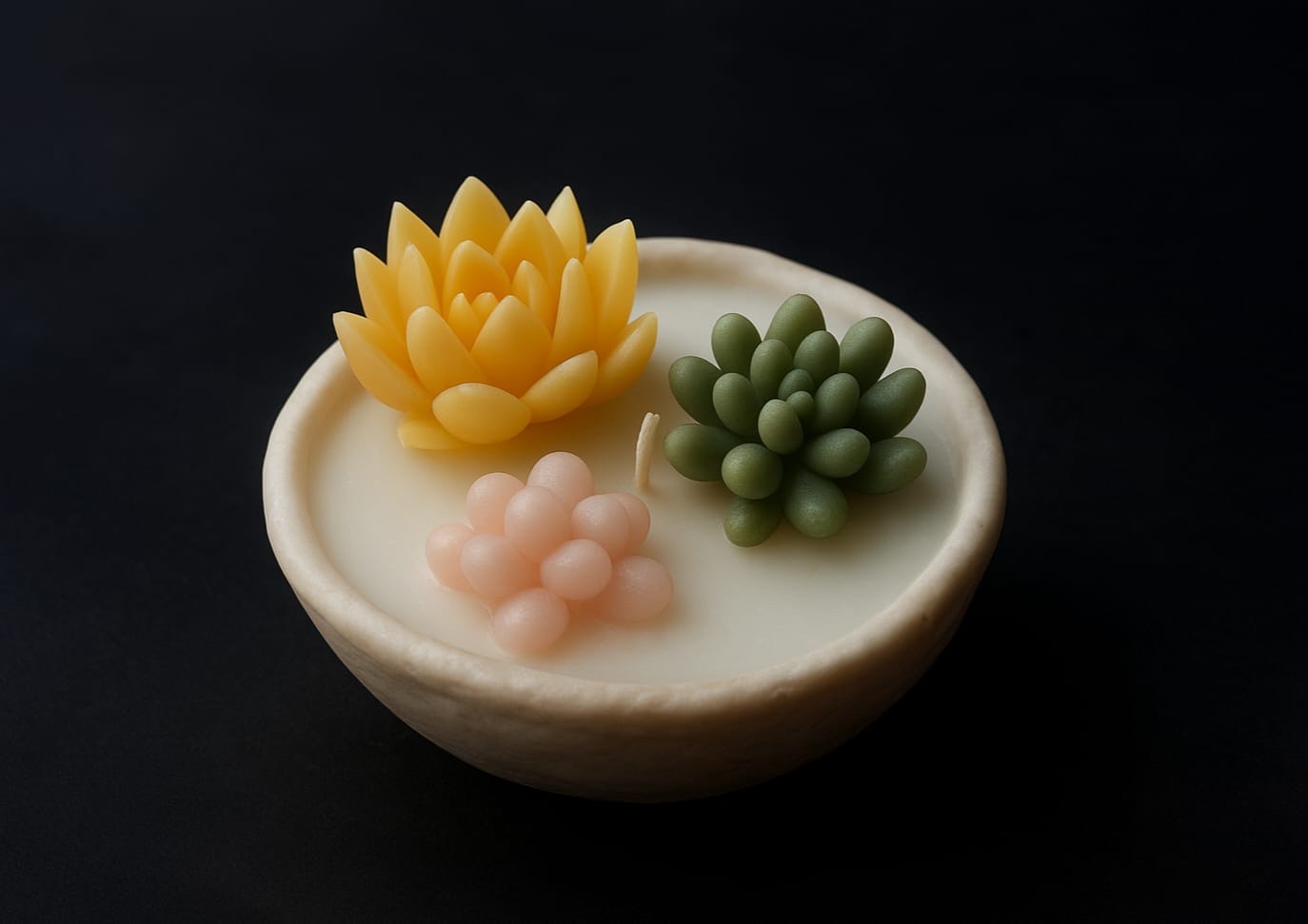 STONE mini succulent garden